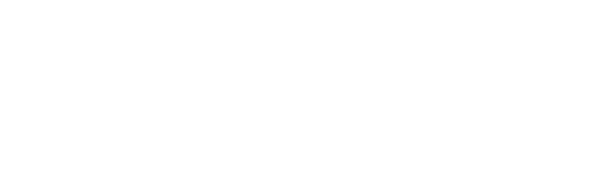 Logo The light Home